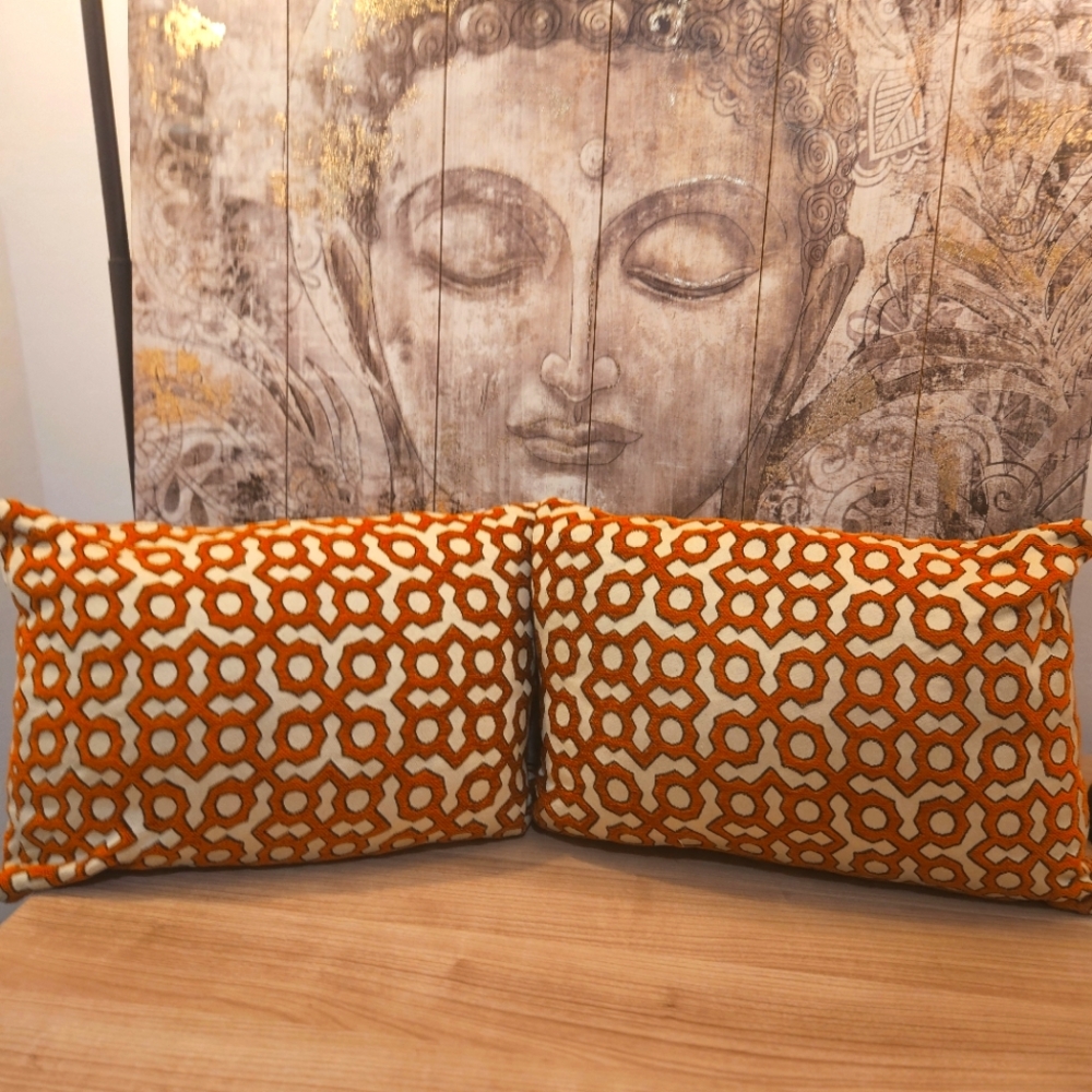 Two decorative Geometric Pattern Throw Pillows and Covers